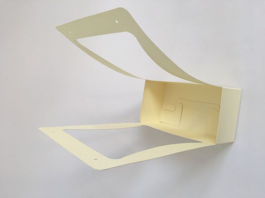 Cardboard Paper Floral Packaging Boxes Bouquet Packaging Boxes Bio-Degradable